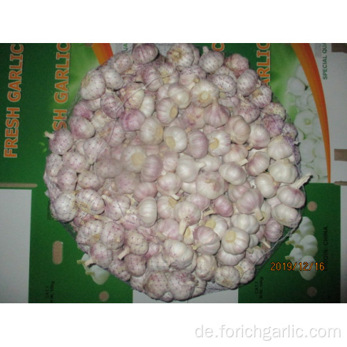 Normaler weißer Knoblauch New Crop 2019